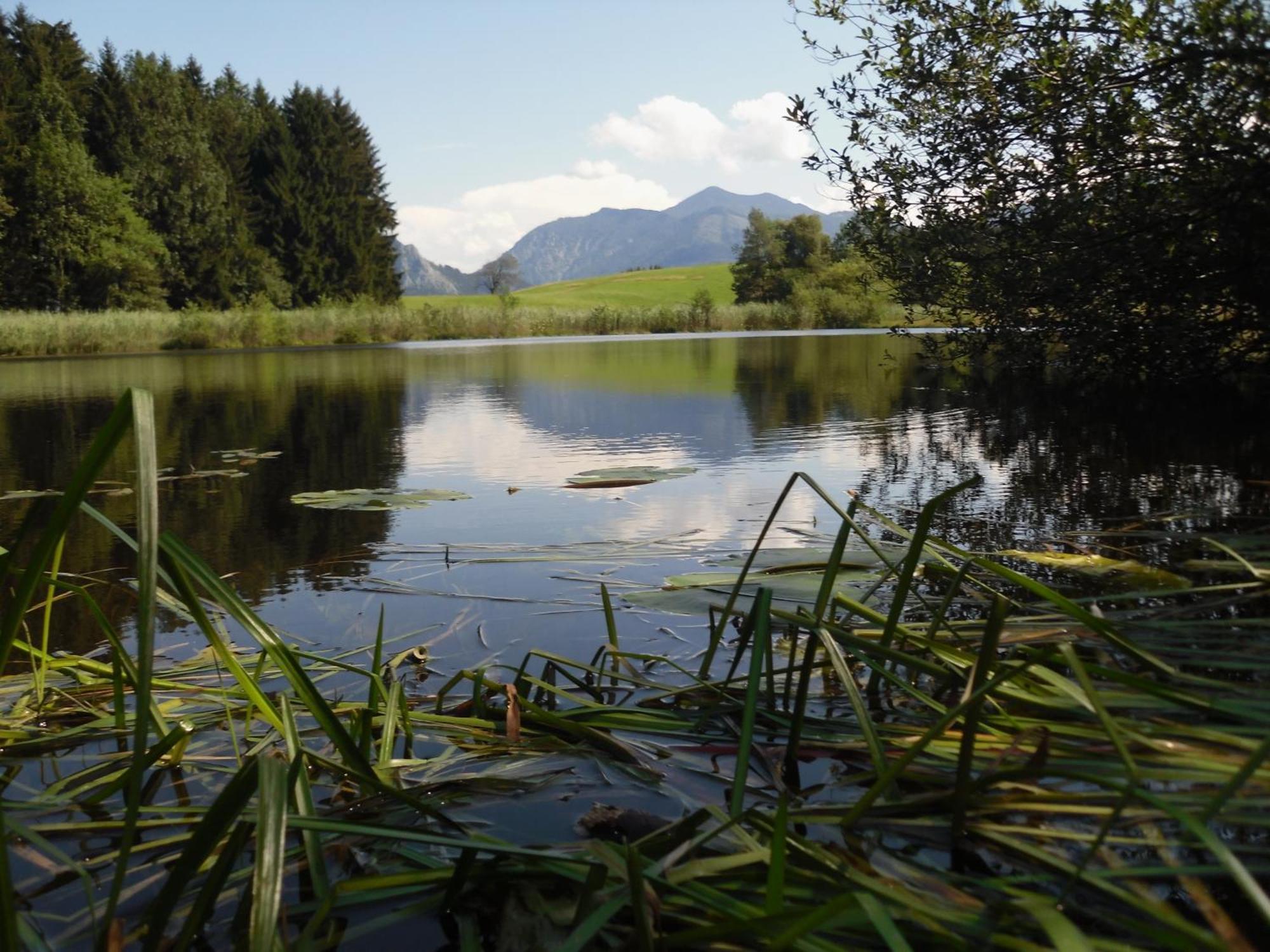 Ferienhof Margarethengut Unterach am Attersee Εξωτερικό φωτογραφία