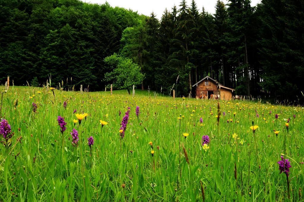 Ferienhof Margarethengut Unterach am Attersee Εξωτερικό φωτογραφία