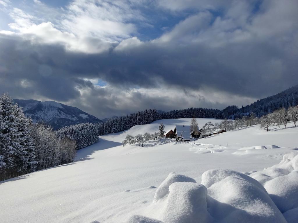 Ferienhof Margarethengut Unterach am Attersee Εξωτερικό φωτογραφία