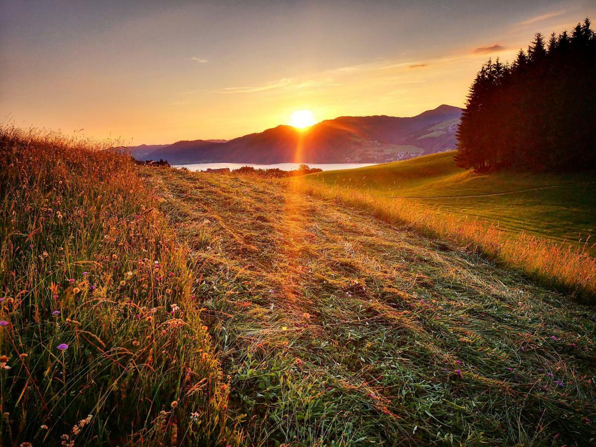 Ferienhof Margarethengut Unterach am Attersee Εξωτερικό φωτογραφία